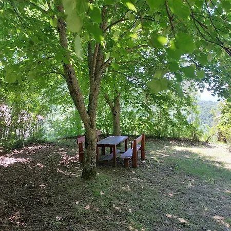 Dama35 - Tuscany House - Casentino-la Hébergement de vacances La Verna