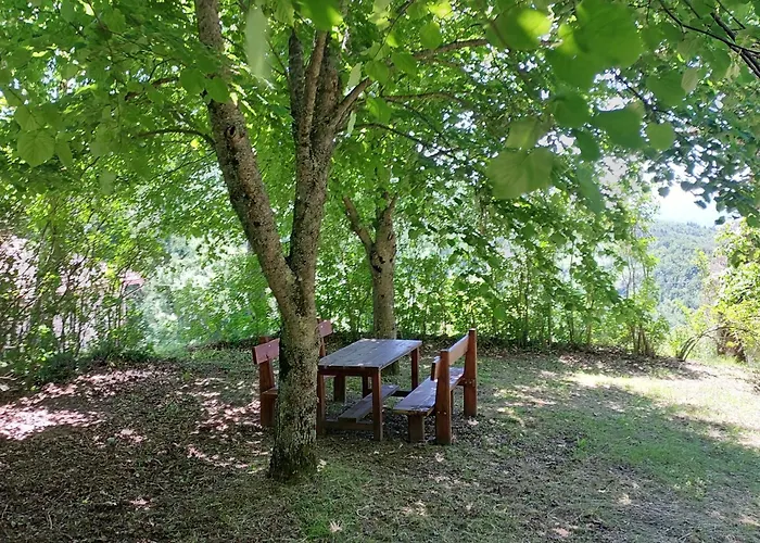 Dama35 - Tuscany House - Casentino-la Σπίτι διακοπών La Verna